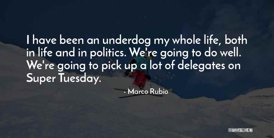 Capsicum Cream Quotes By Marco Rubio Capsicum Cream Quotes By Marco Rubio