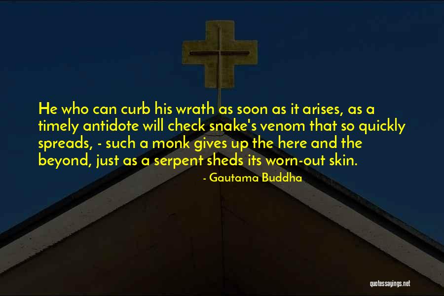 Capt Obvious Quotes By Gautama Buddha