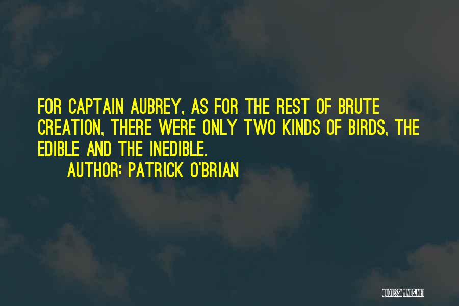 Captain Aubrey Quotes By Patrick O'Brian
