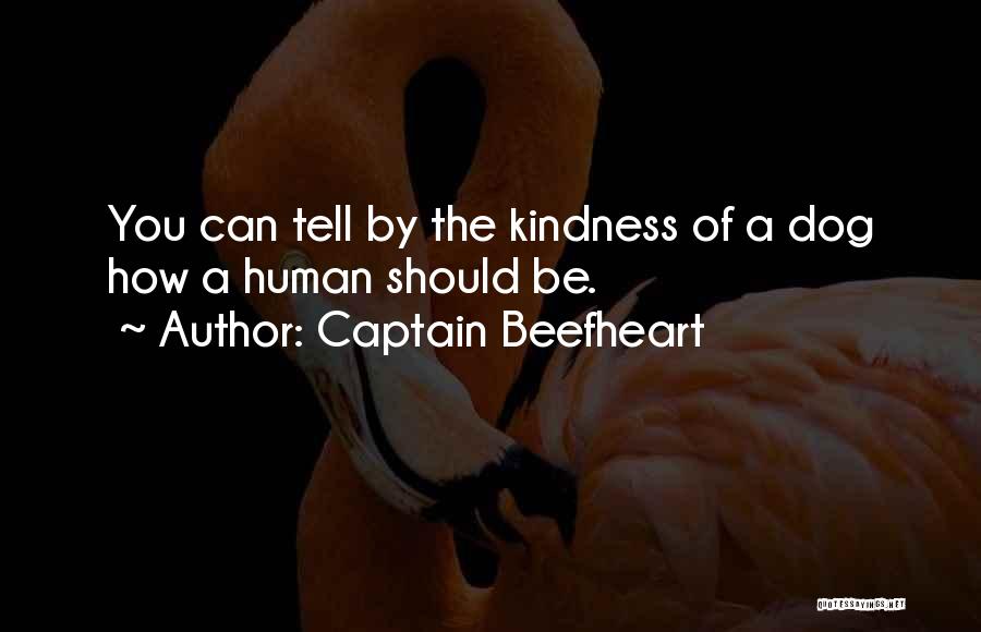 Captain Beefheart Quotes 1259818