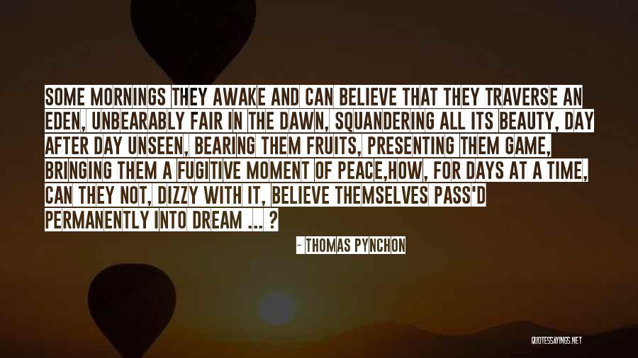 Captain Price Multiplayer Quotes By Thomas Pynchon Captain Price Multiplayer Quotes By Thomas Pynchon