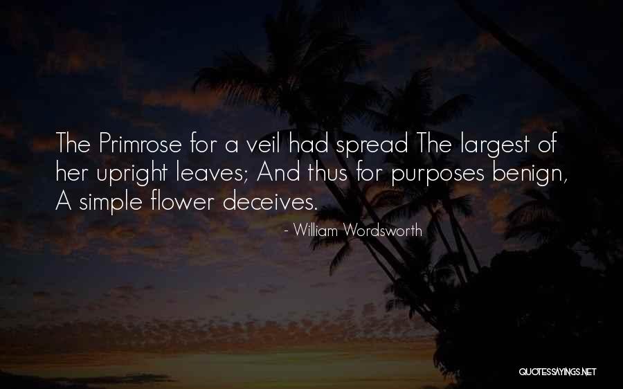 Captions For Corrosion Quotes By William Wordsworth Captions For Corrosion Quotes By William Wordsworth