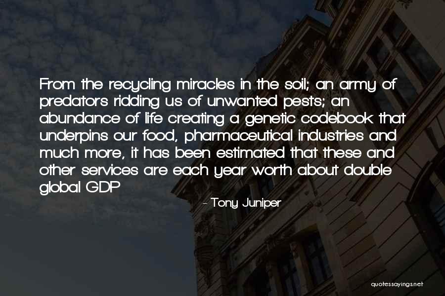 Captivates Quotes By Tony Juniper Captivates Quotes By Tony Juniper