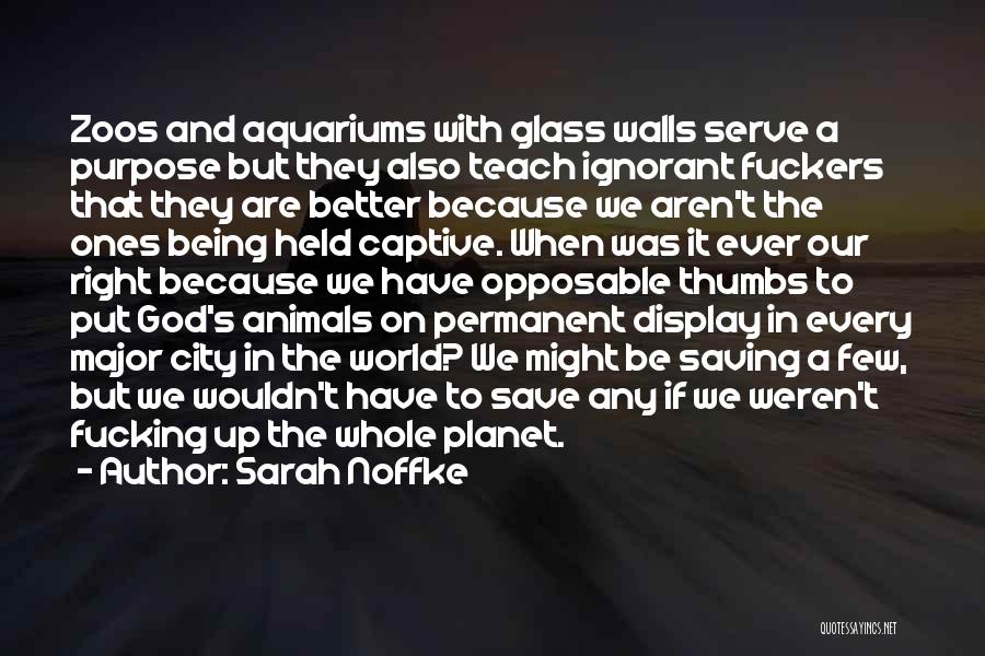 Captive Animals Quotes By Sarah Noffke