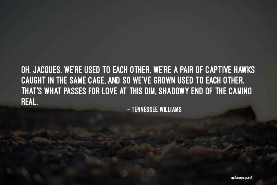 Captive Love Quotes By Tennessee Williams Captive Love Quotes By Tennessee Williams