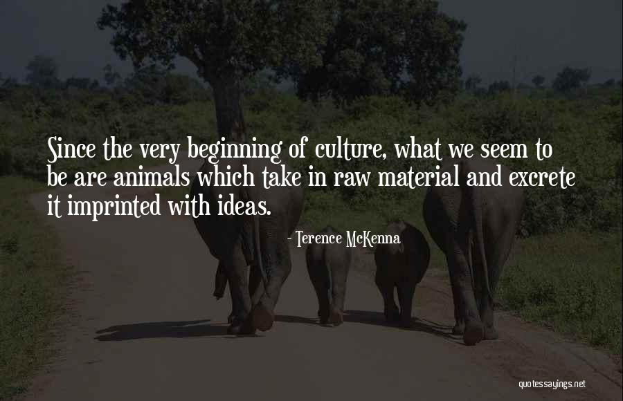 Captive Romance Quotes By Terence McKenna Captive Romance Quotes By Terence McKenna