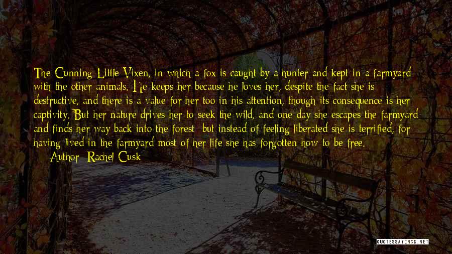 Captivity Quotes By Rachel Cusk