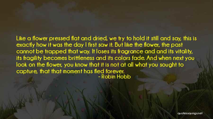 Capture The Day Quotes By Robin Hobb Capture The Day Quotes By Robin Hobb