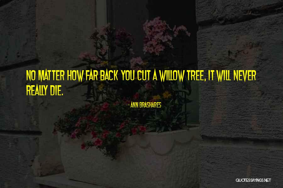 Capture The Spirit Quotes By Ann Brashares Capture The Spirit Quotes By Ann Brashares