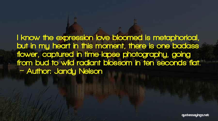 Captured Heart Quotes By Jandy Nelson