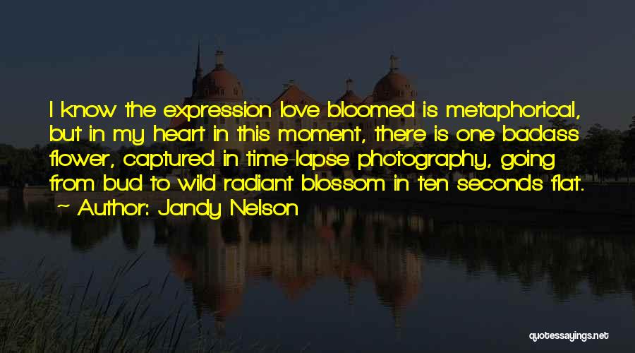 Captured My Heart Quotes By Jandy Nelson