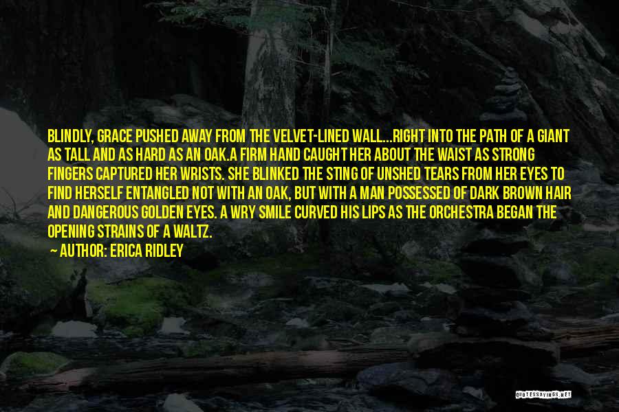 Captured Quotes By Erica Ridley