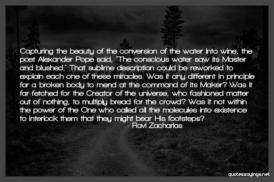 Capturing Beauty Quotes By Ravi Zacharias Capturing Beauty Quotes By Ravi Zacharias