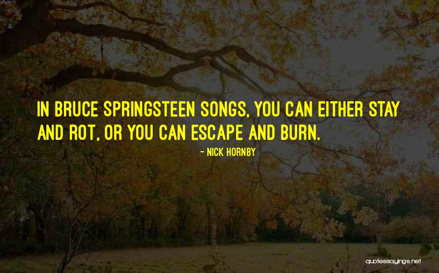 Capturing Pics Quotes By Nick Hornby Capturing Pics Quotes By Nick Hornby