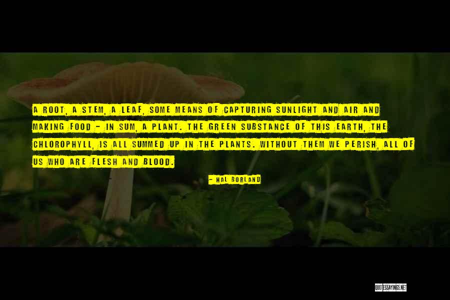 Capturing Self Quotes By Hal Borland Capturing Self Quotes By Hal Borland