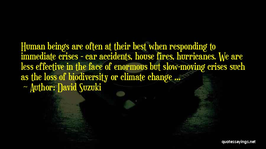 Car Accidents Quotes By David Suzuki