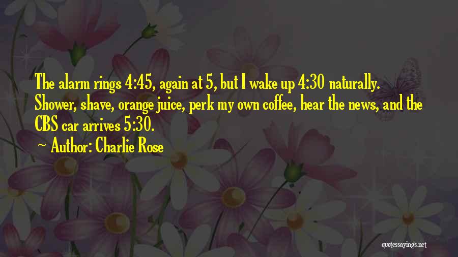 Car Alarm Quotes By Charlie Rose