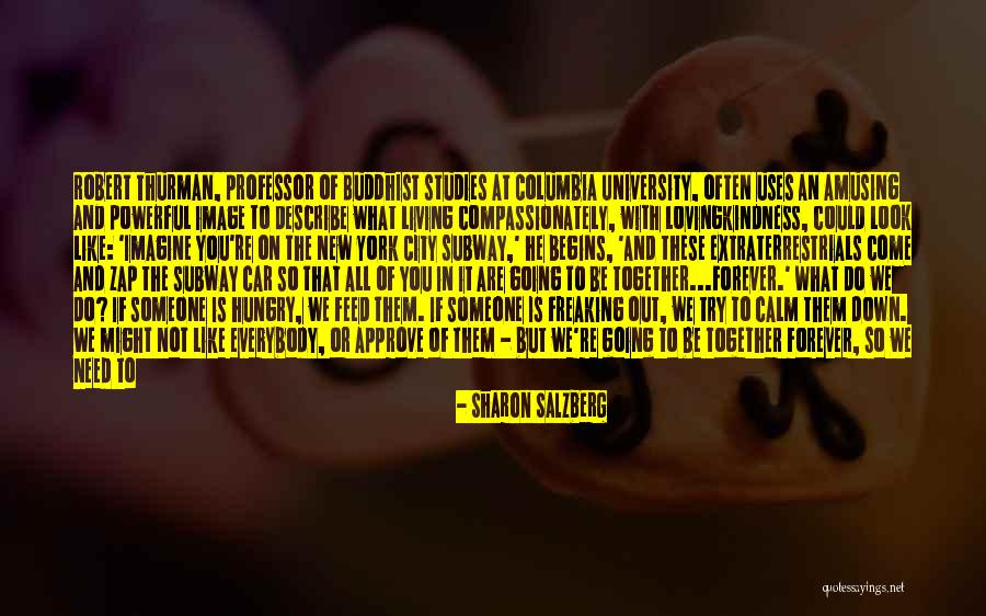 Car Care Quotes By Sharon Salzberg Car Care Quotes By Sharon Salzberg