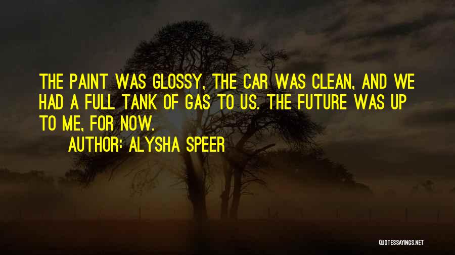 Car Clean Quotes By Alysha Speer