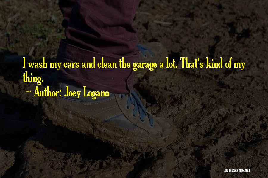 Car Clean Quotes By Joey Logano