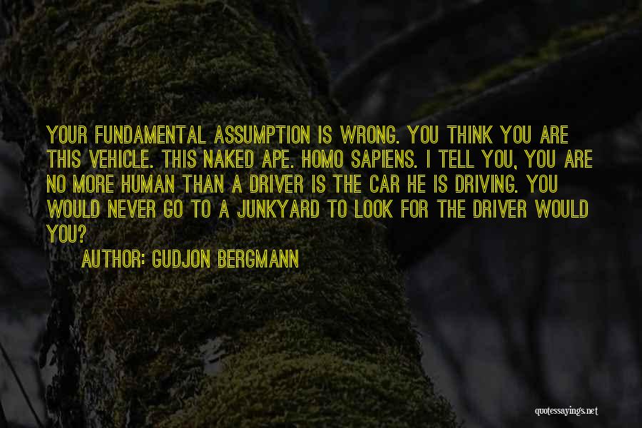 Car Driver Quotes By Gudjon Bergmann