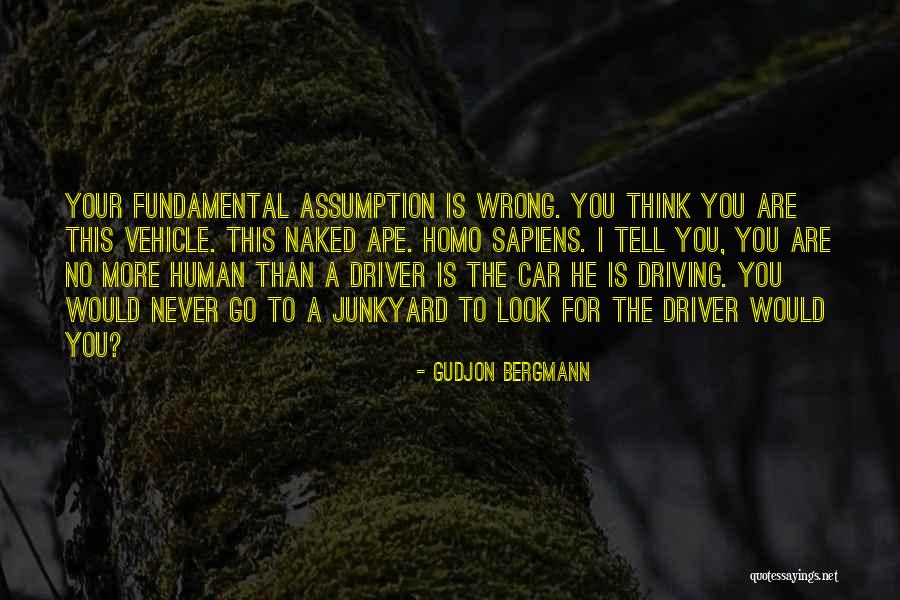 Car Driver Quotes By Gudjon Bergmann