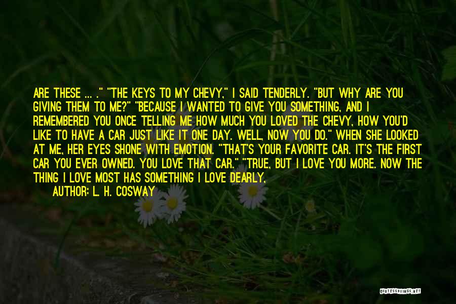 Car Keys Quotes By L. H. Cosway