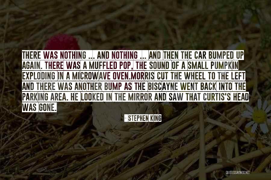 Car King Quotes By Stephen King Car King Quotes By Stephen King
