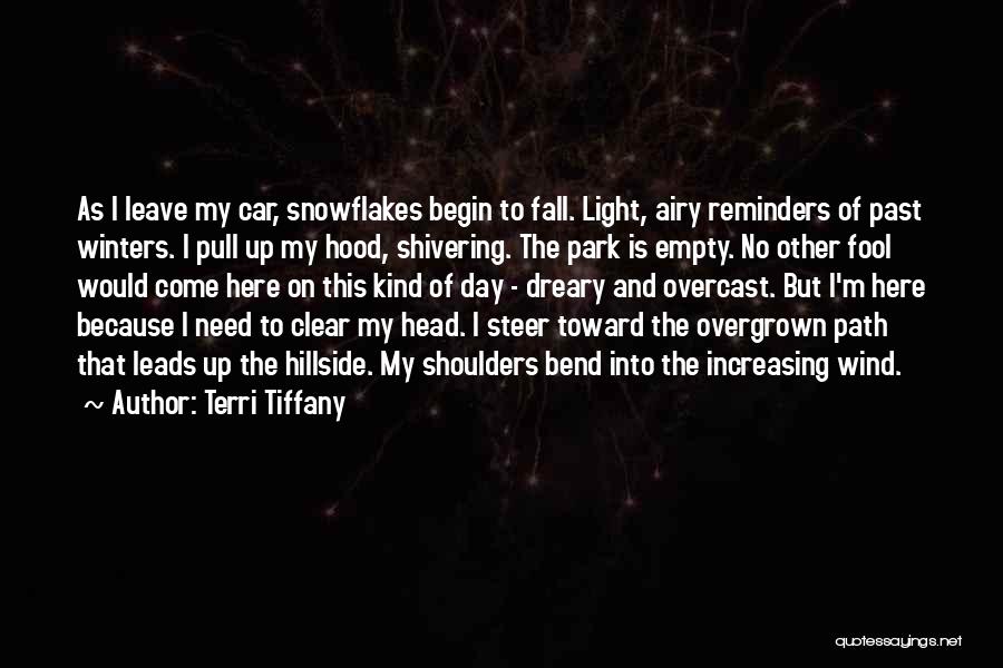 Car Park Quotes By Terri Tiffany