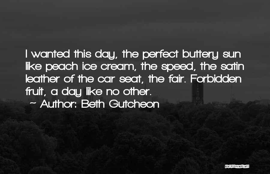 Car Seat Quotes By Beth Gutcheon