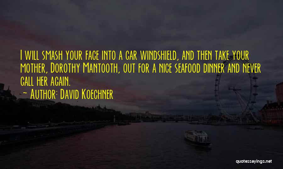 Car Smash Quotes By David Koechner