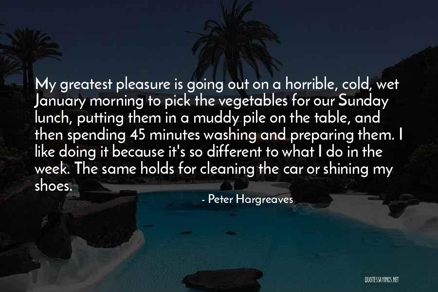 Car Washing Quotes By Peter Hargreaves