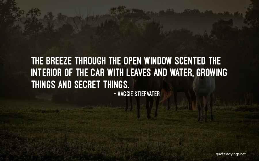 Car Window Quotes By Maggie Stiefvater Car Window Quotes By Maggie Stiefvater
