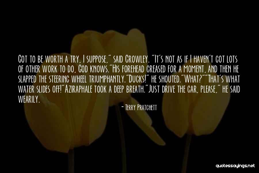 Car Worth Quotes By Terry Pratchett