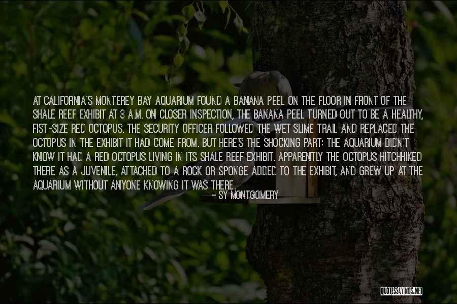 Caracteres Alfanumericos Quotes By Sy Montgomery