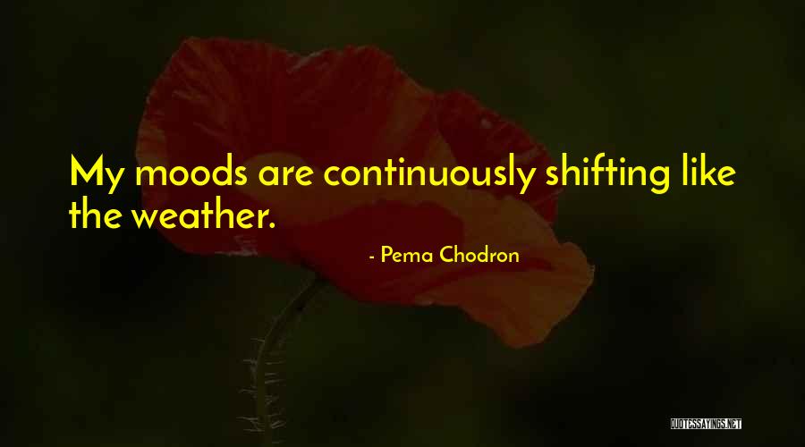 Carafe Quotes By Pema Chodron Carafe Quotes By Pema Chodron