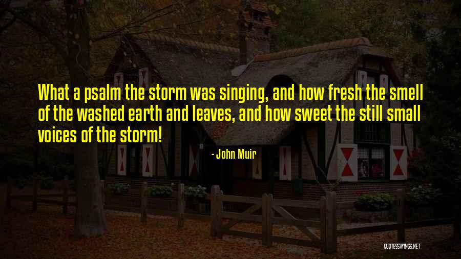 Carafes From Panera Quotes By John Muir Carafes From Panera Quotes By John Muir