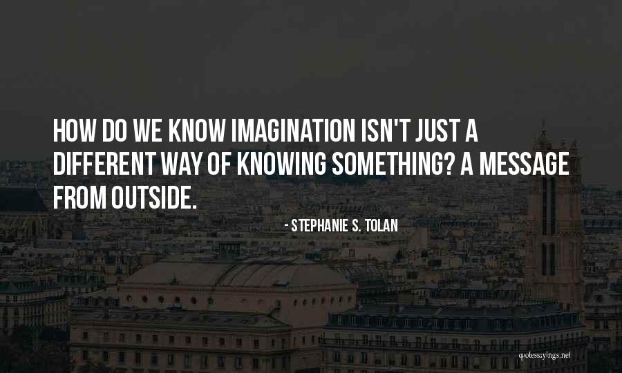 Caramujo Contorno Quotes By Stephanie S. Tolan Caramujo Contorno Quotes By Stephanie S. Tolan