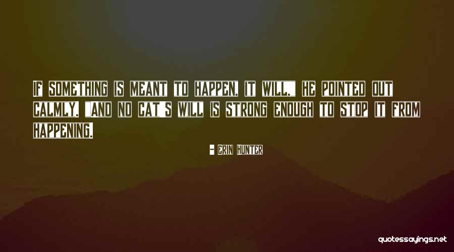 Caravella G D Llo Quotes By Erin Hunter Caravella G D Llo Quotes By Erin Hunter