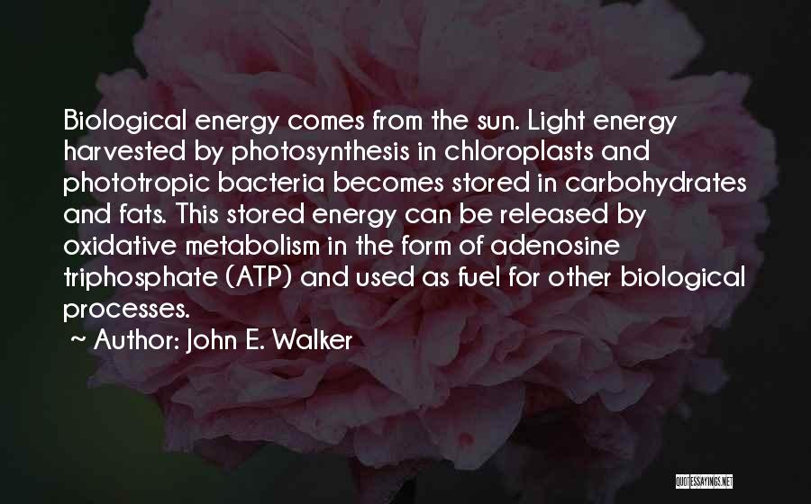 Carbohydrates Quotes By John E. Walker