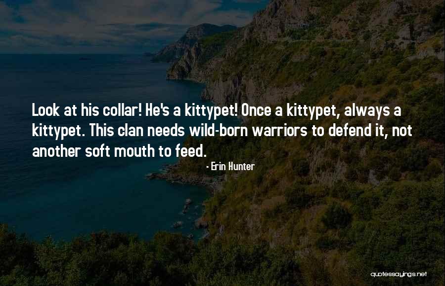 Carbonetti Propiedades Quotes By Erin Hunter Carbonetti Propiedades Quotes By Erin Hunter
