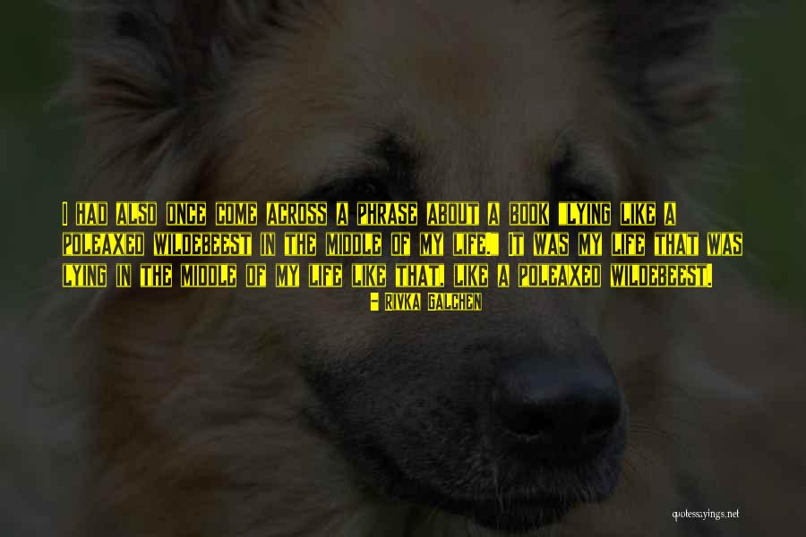 Carbonetti Propiedades Quotes By Rivka Galchen Carbonetti Propiedades Quotes By Rivka Galchen