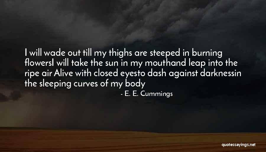 Carborundorum Translation Quotes By E. E. Cummings Carborundorum Translation Quotes By E. E. Cummings