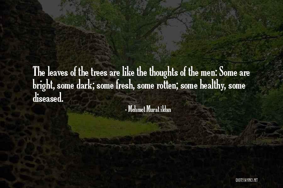 Carcedo Family Quotes By Mehmet Murat Ildan Carcedo Family Quotes By Mehmet Murat Ildan