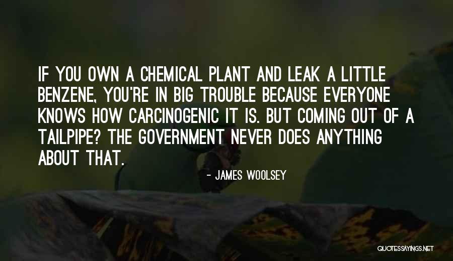 Carcinogenic Quotes By James Woolsey Carcinogenic Quotes By James Woolsey
