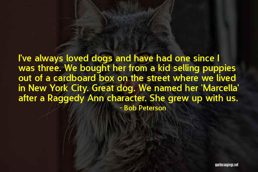 Cardboard Box Quotes By Bob Peterson