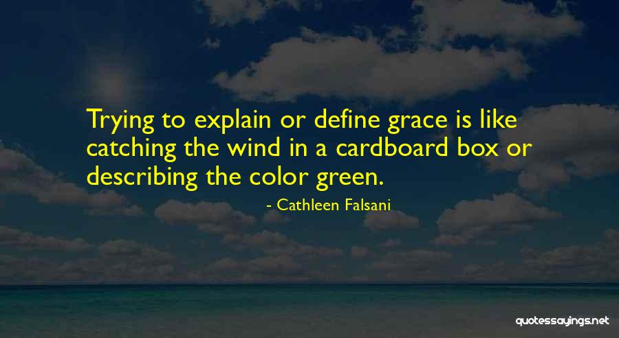 Cardboard Box Quotes By Cathleen Falsani