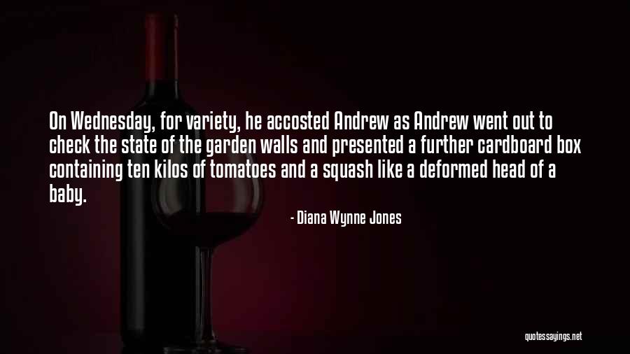 Cardboard Box Quotes By Diana Wynne Jones Cardboard Box Quotes By Diana Wynne Jones