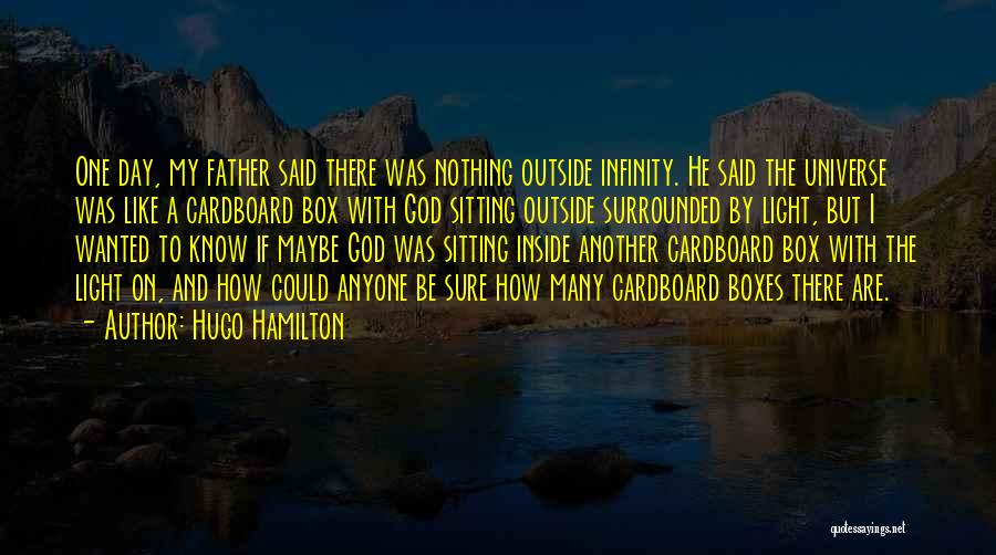 Cardboard Box Quotes By Hugo Hamilton