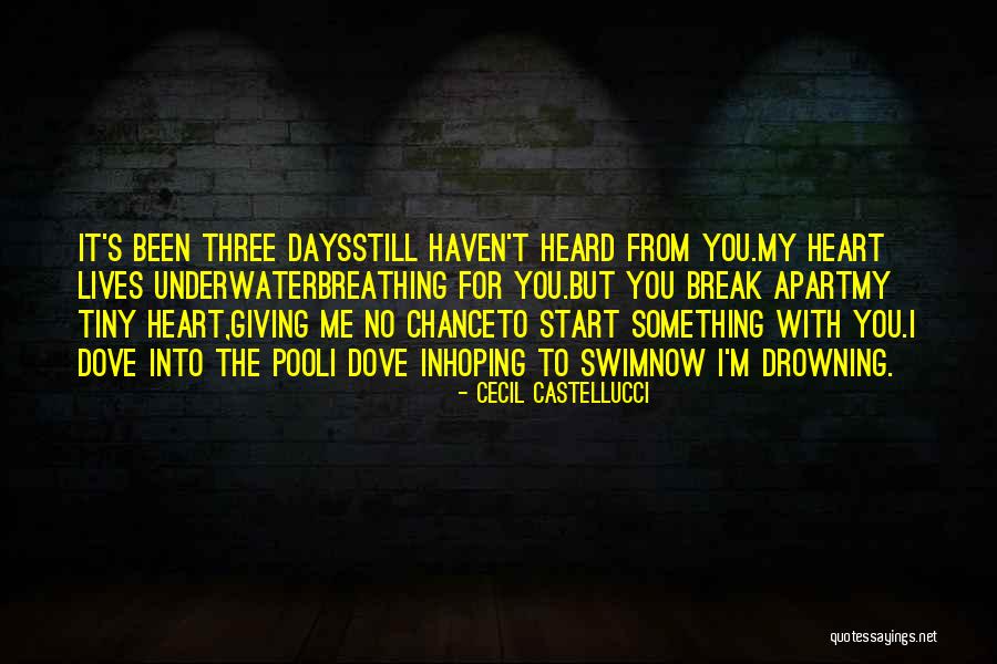 Cardelino Quotes By Cecil Castellucci Cardelino Quotes By Cecil Castellucci